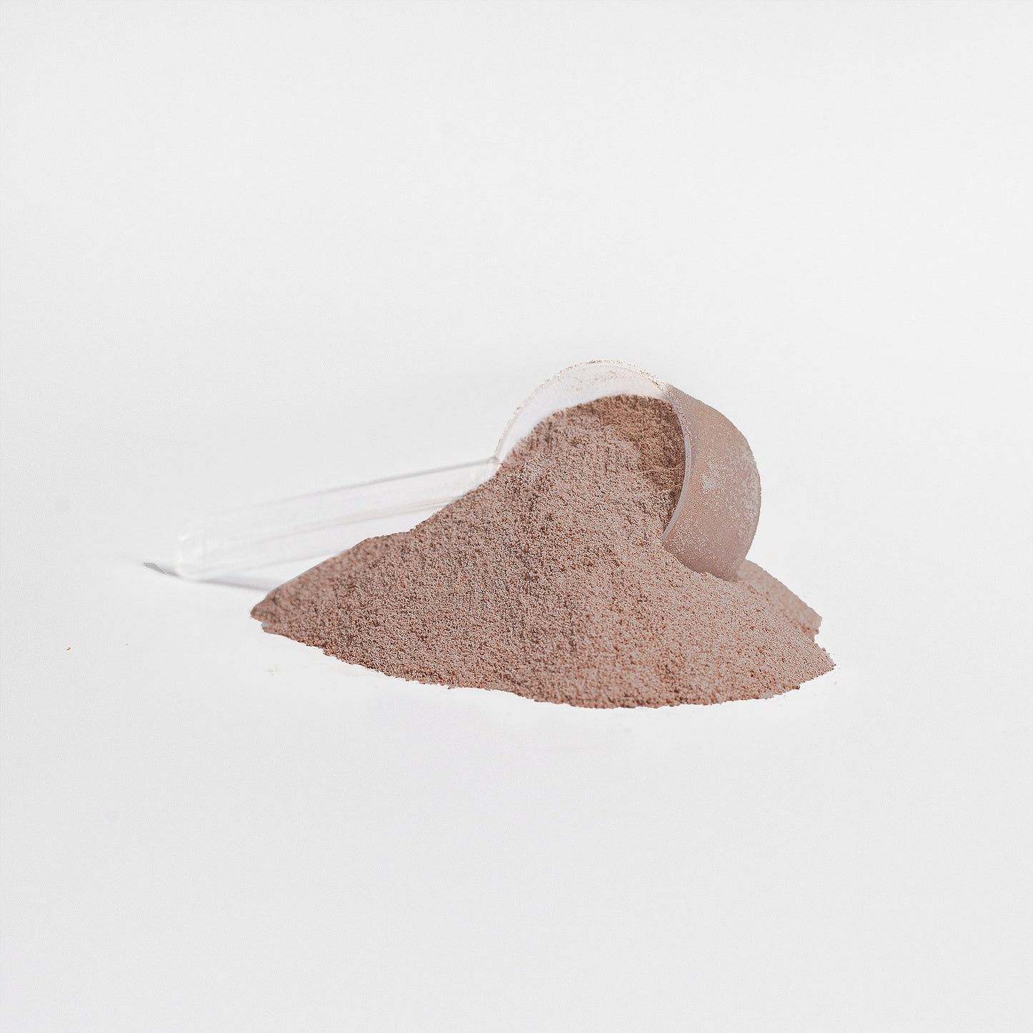 Chocolate Protein Powder – Whey Protein Isolate – Protein Support