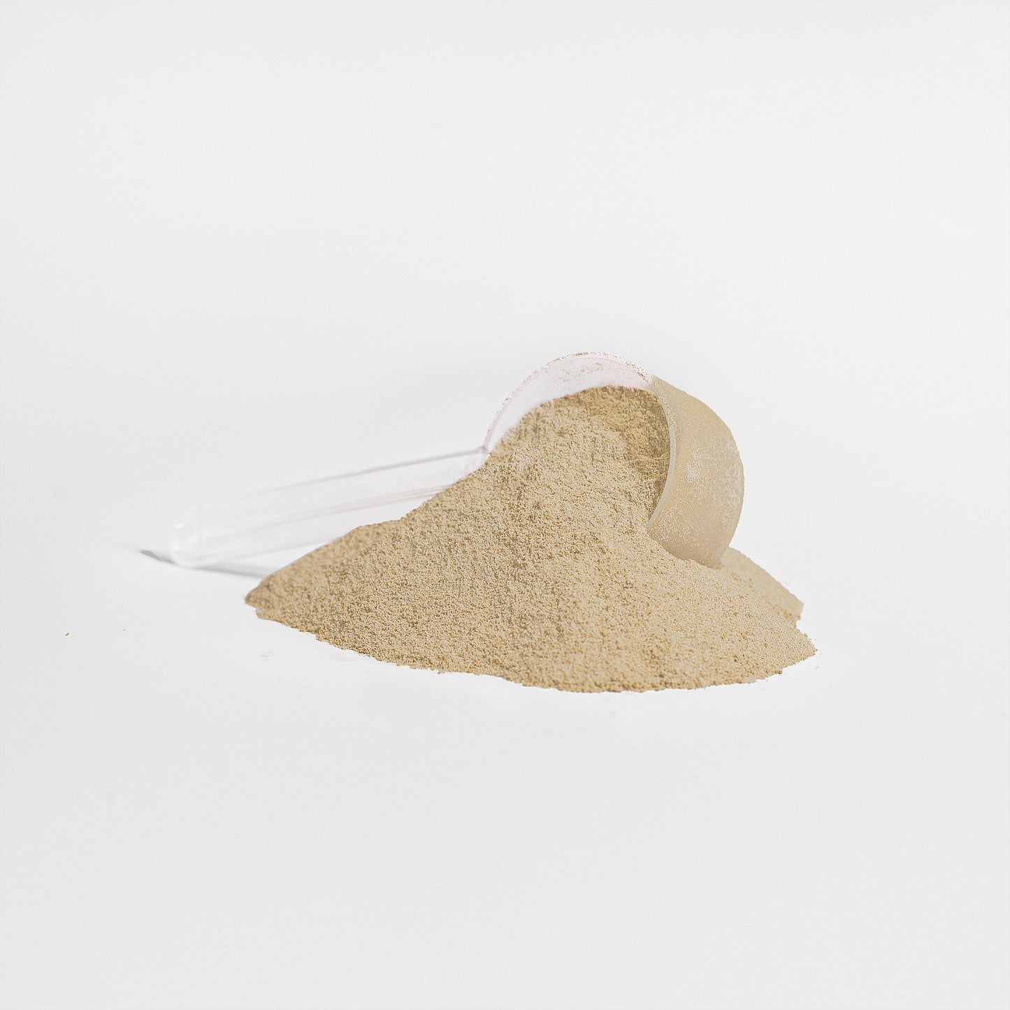 Vanilla Protein Powder – Whey Protein Isolate – Protein Support