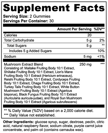 Mushroom Complex – Plant-Based Daily Wellness